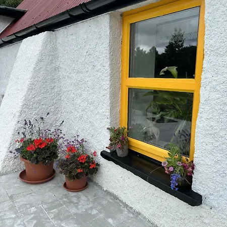 Σπίτι διακοπών The Hollow, Fisherstown, County Port Laoise
