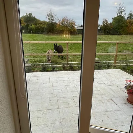 The Hollow, Fisherstown, County Casa vacanze *