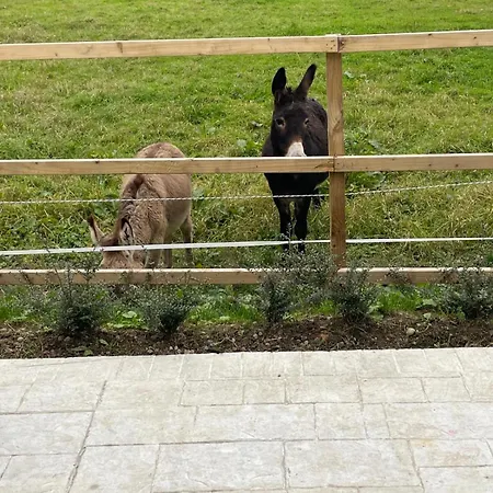 The Hollow, Fisherstown, County
