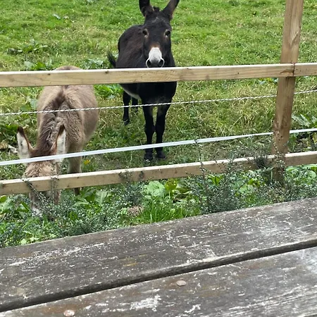Casa vacanze The Hollow, Fisherstown, County