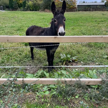 Casa vacanze The Hollow, Fisherstown, County Laois
