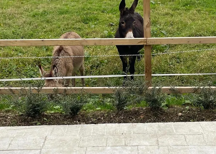 The Hollow, Fisherstown, County
