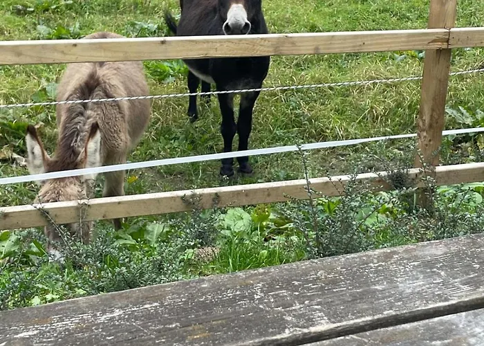 Holiday home The Hollow, Fisherstown, County