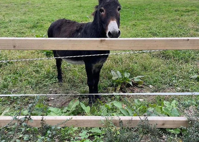 Holiday home The Hollow, Fisherstown, County Port Laoise